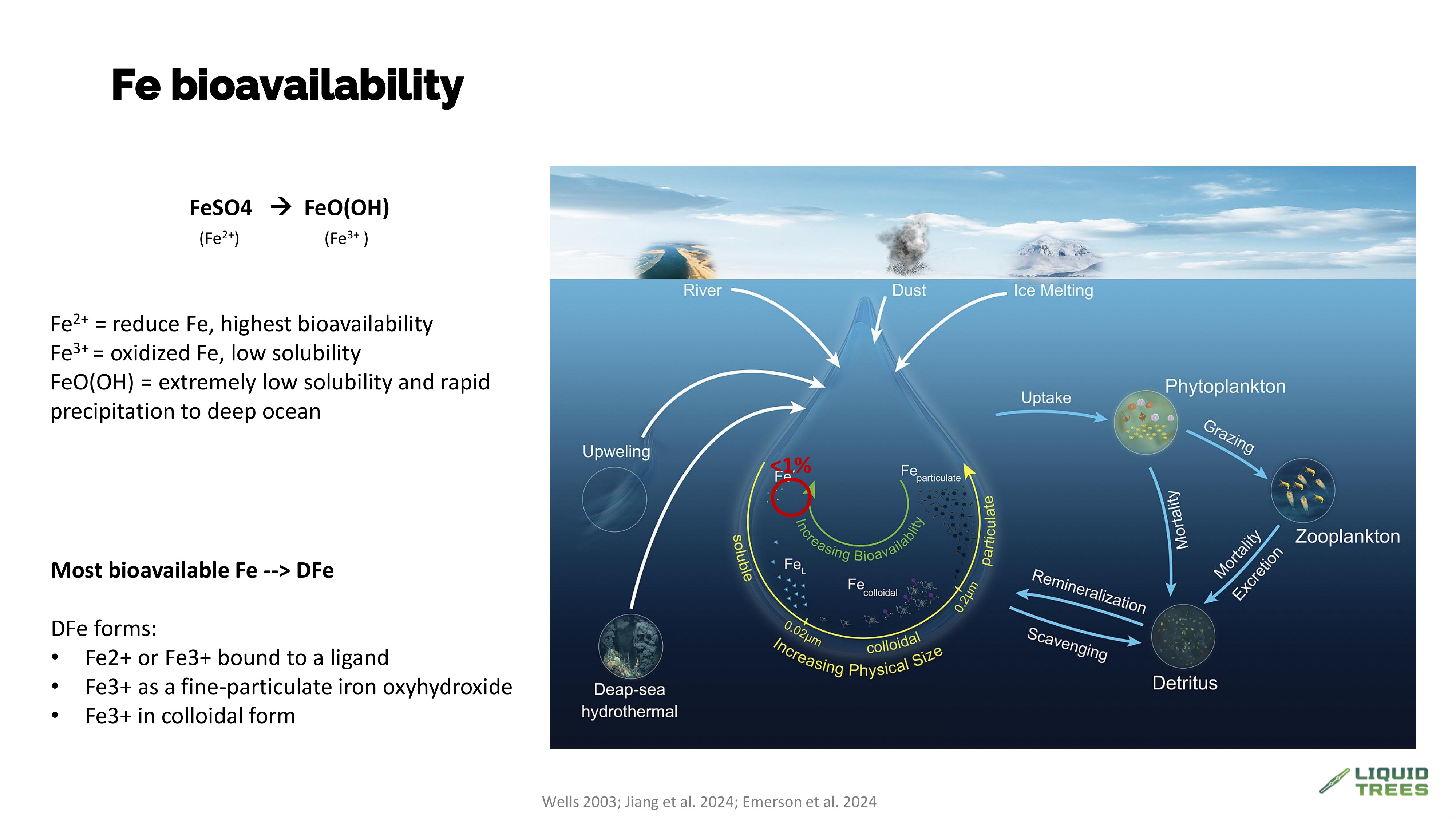 Graphic showing dissolved iron fractions and factors affecting bioavailability in seawater